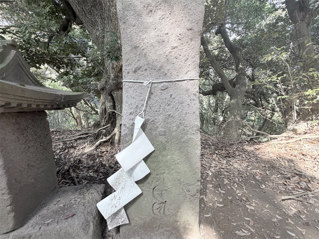 f:id:satsumanekonosuke:20260329124405j:image