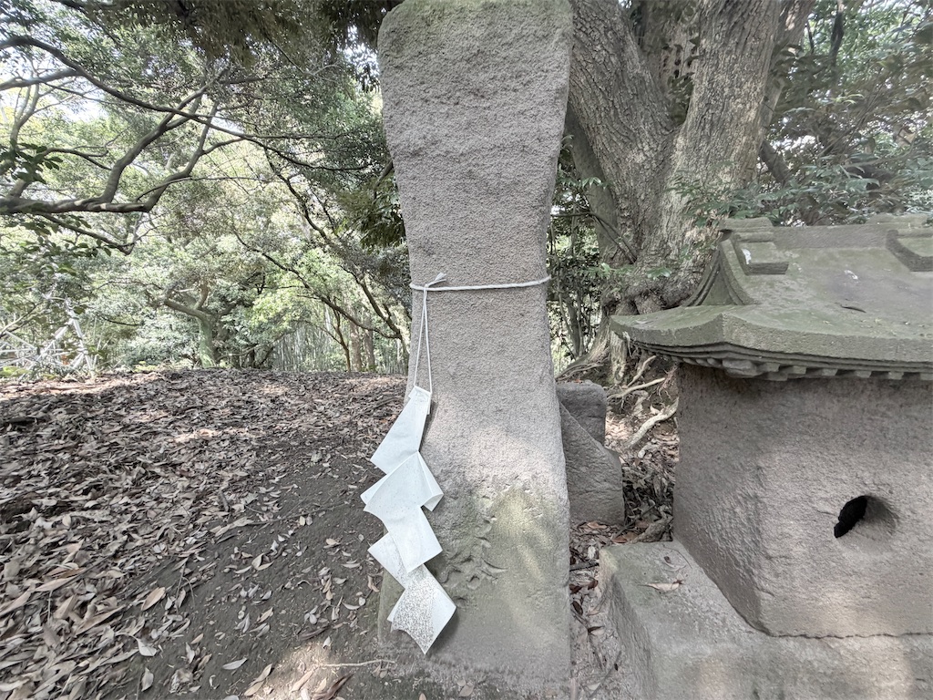 f:id:satsumanekonosuke:20260329124415j:image