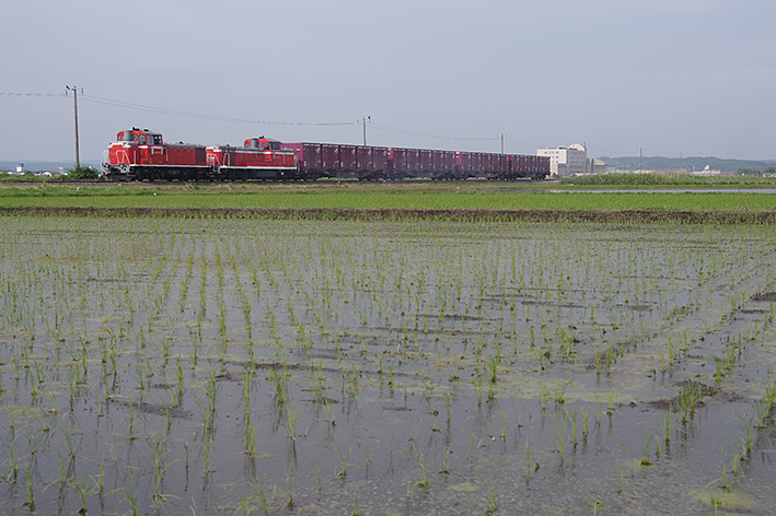 2022/06/19】フォトランで逆トンボ重連！ 国内最後の本線稼働