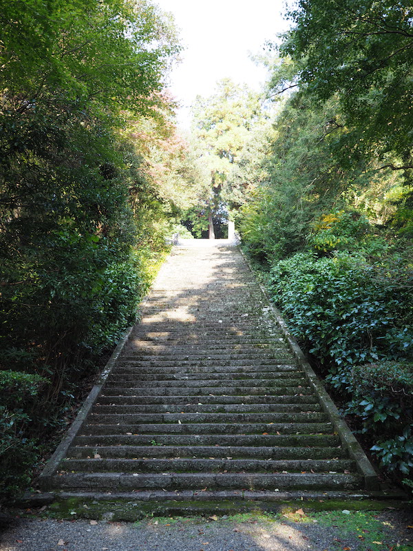 f:id:satsusatsunokoe:20191113191035j:plain f:id:satsusatsunokoe:20191113191035j:plain