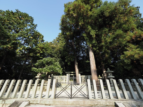 f:id:satsusatsunokoe:20191113191038j:plain f:id:satsusatsunokoe:20191113191038j:plain