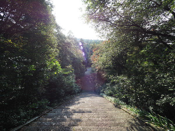 f:id:satsusatsunokoe:20191113191042j:plain f:id:satsusatsunokoe:20191113191042j:plain