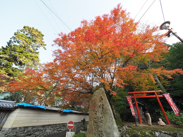 f:id:satsusatsunokoe:20191113191051j:plain f:id:satsusatsunokoe:20191113191051j:plain