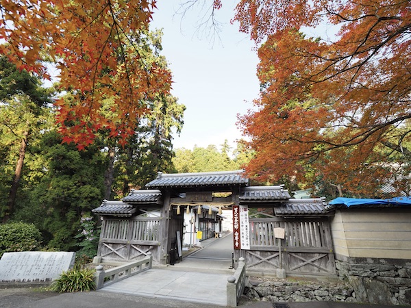 f:id:satsusatsunokoe:20191113191058j:plain f:id:satsusatsunokoe:20191113191058j:plain