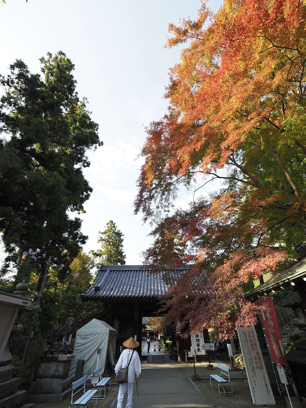 f:id:satsusatsunokoe:20191113191104j:plain f:id:satsusatsunokoe:20191113191104j:plain