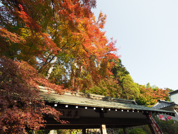 f:id:satsusatsunokoe:20191113191106j:plain f:id:satsusatsunokoe:20191113191106j:plain