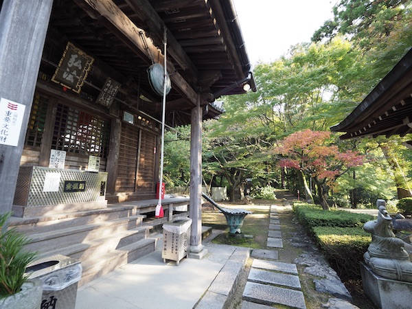 f:id:satsusatsunokoe:20191113191110j:plain f:id:satsusatsunokoe:20191113191110j:plain