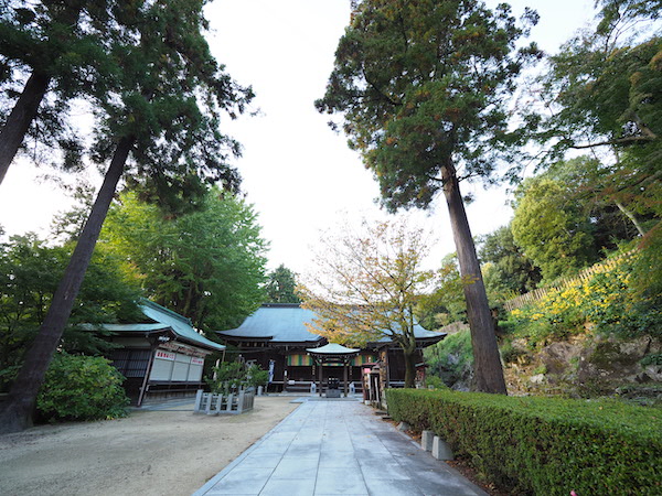 f:id:satsusatsunokoe:20191113191114j:plain f:id:satsusatsunokoe:20191113191114j:plain