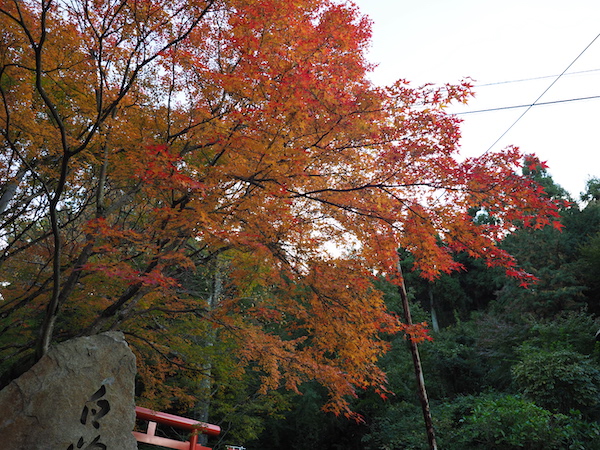 f:id:satsusatsunokoe:20191113191123j:plain f:id:satsusatsunokoe:20191113191123j:plain