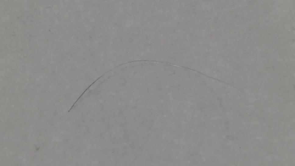 ブラック リバース 黒髪再生 使い初めて80日目 ついに成果が さっちんのブログ