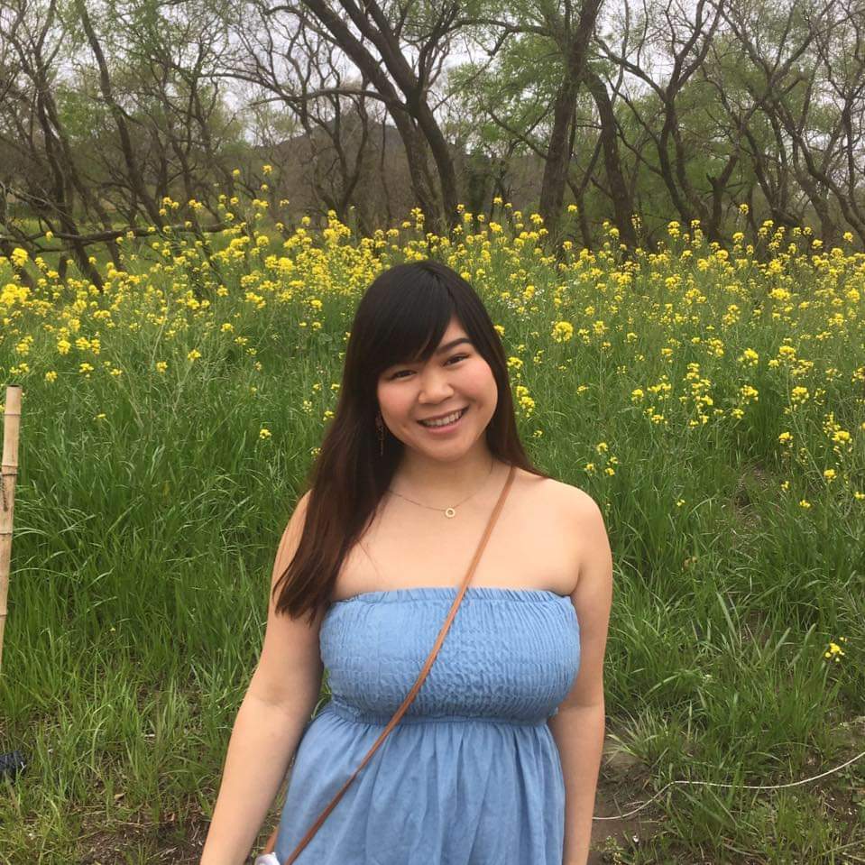 f:id:sattinnchang:20191129192736j:plain