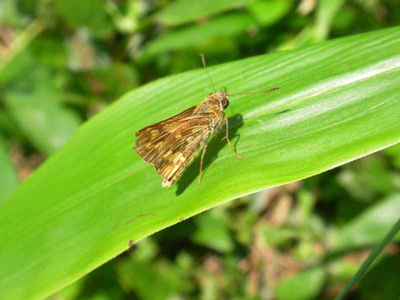 f:id:sattisatisatti:20111023101046j:image