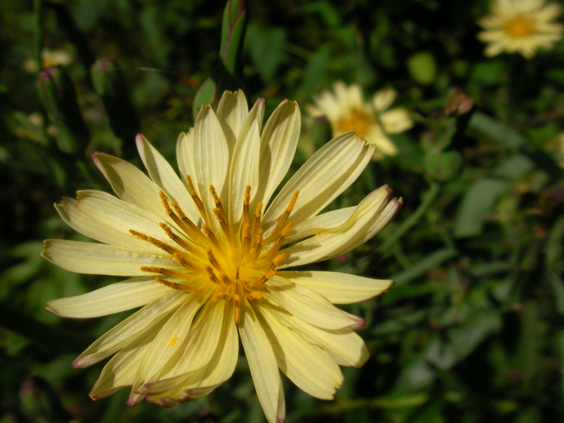 f:id:sattisatisatti:20111023101137j:image