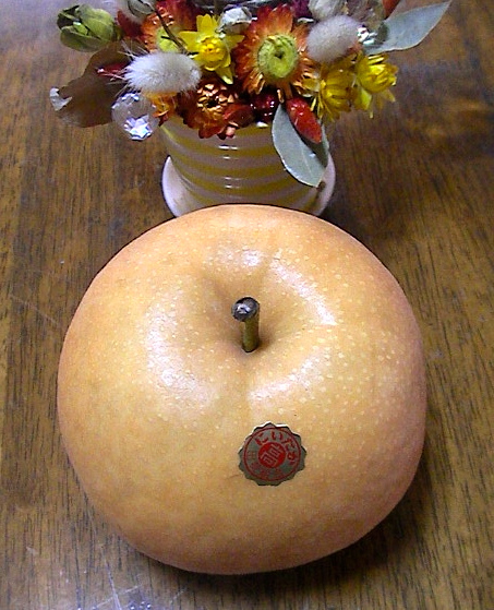 f:id:sattisatisatti:20111103185515j:image:w360:left f:id:sattisatisatti:20111103185515j:image:w360:left