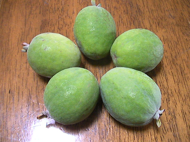 f:id:sattisatisatti:20111103191332j:image:w360:left