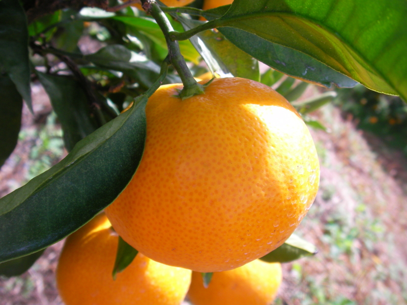 f:id:sattisatisatti:20111104213457j:image:w640 f:id:sattisatisatti:20111104213457j:image:w640