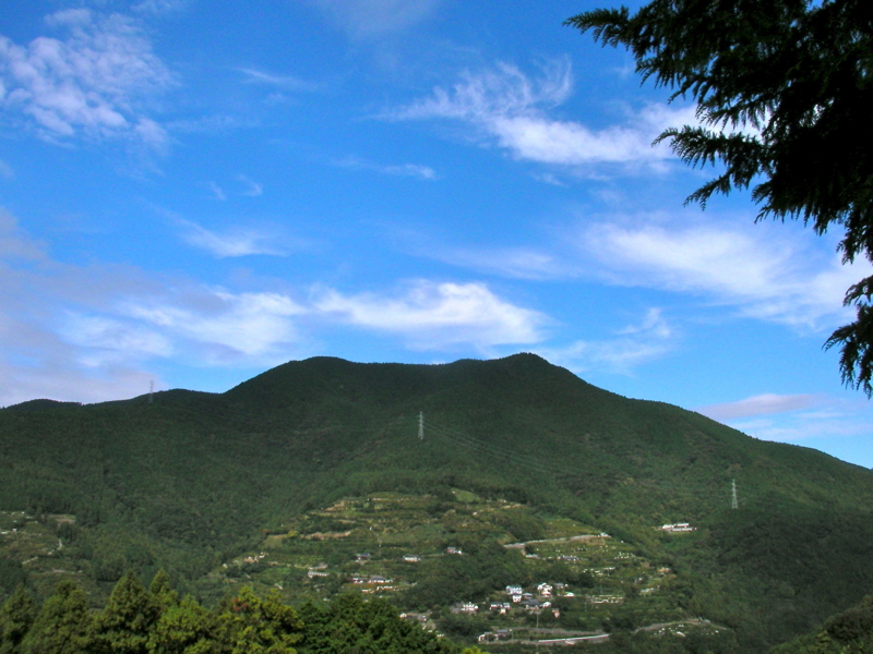f:id:sattisatisatti:20111104213458j:image:w640 f:id:sattisatisatti:20111104213458j:image:w640