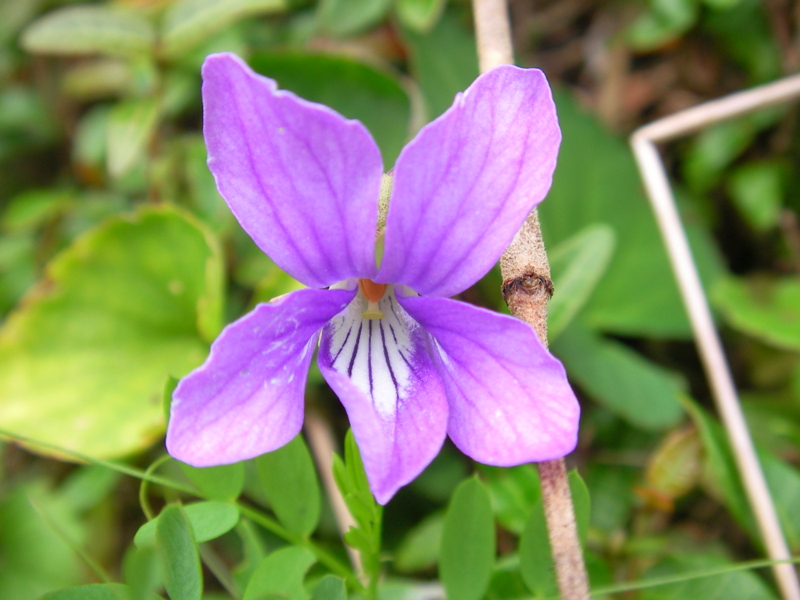 f:id:sattisatisatti:20111104213500j:image:w640 f:id:sattisatisatti:20111104213500j:image:w640