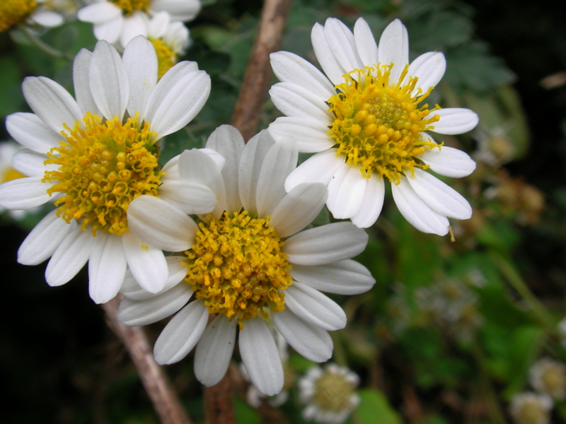 f:id:sattisatisatti:20111104213508j:image:w640 f:id:sattisatisatti:20111104213508j:image:w640