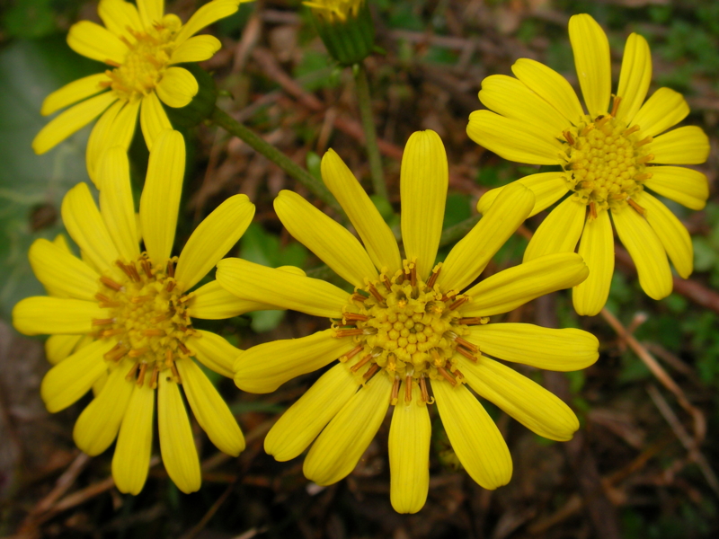 f:id:sattisatisatti:20111104213509j:image:w640 f:id:sattisatisatti:20111104213509j:image:w640
