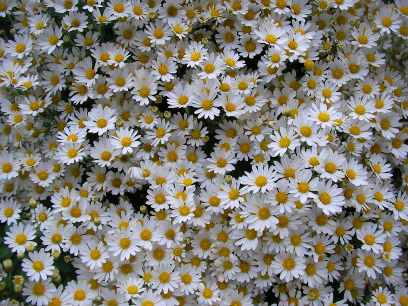 f:id:sattisatisatti:20111109182357j:image f:id:sattisatisatti:20111109182357j:image