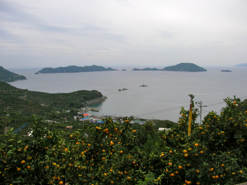 f:id:sattisatisatti:20111109182754j:image f:id:sattisatisatti:20111109182754j:image