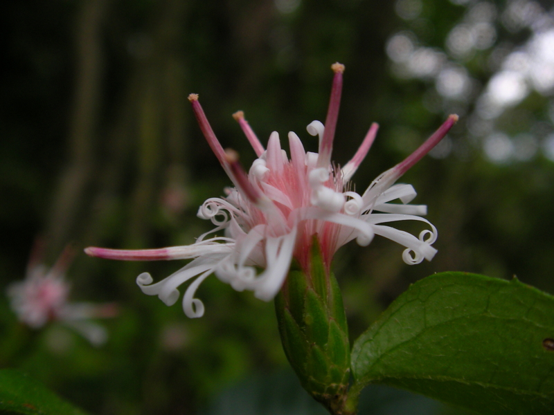 f:id:sattisatisatti:20111109182757j:image:w640 f:id:sattisatisatti:20111109182757j:image:w640