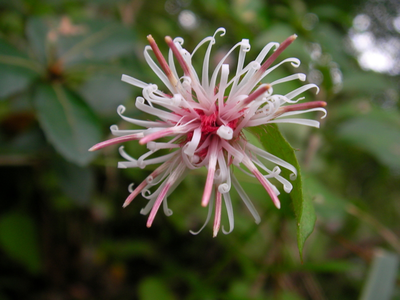 f:id:sattisatisatti:20111109182758j:image:w640 f:id:sattisatisatti:20111109182758j:image:w640