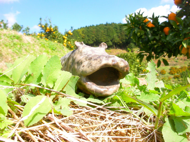 f:id:sattisatisatti:20111115234604j:image:w640 f:id:sattisatisatti:20111115234604j:image:w640