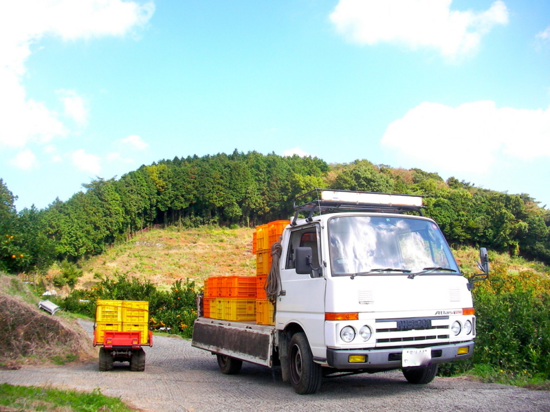 f:id:sattisatisatti:20111115234605j:image:w360 f:id:sattisatisatti:20111115234605j:image:w360