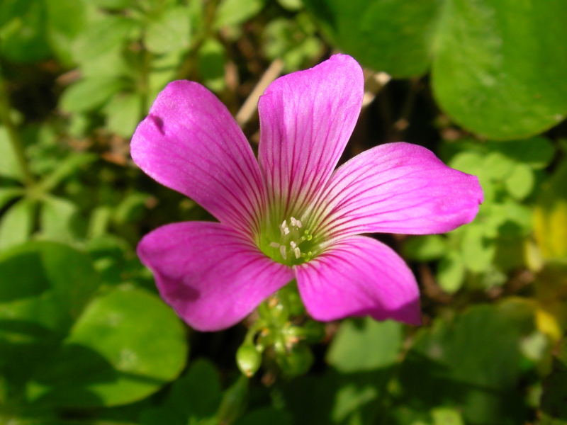 f:id:sattisatisatti:20111115234608j:image:w640 f:id:sattisatisatti:20111115234608j:image:w640