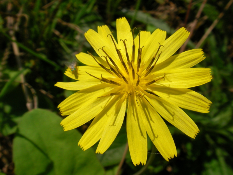 f:id:sattisatisatti:20111115234612j:image:w640 f:id:sattisatisatti:20111115234612j:image:w640