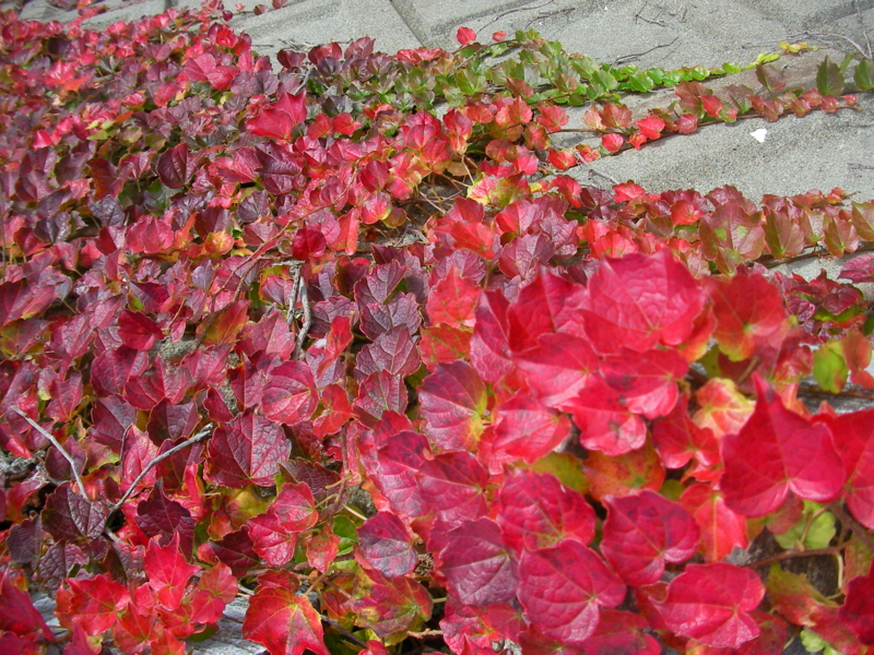 f:id:sattisatisatti:20111125193451j:image f:id:sattisatisatti:20111125193451j:image