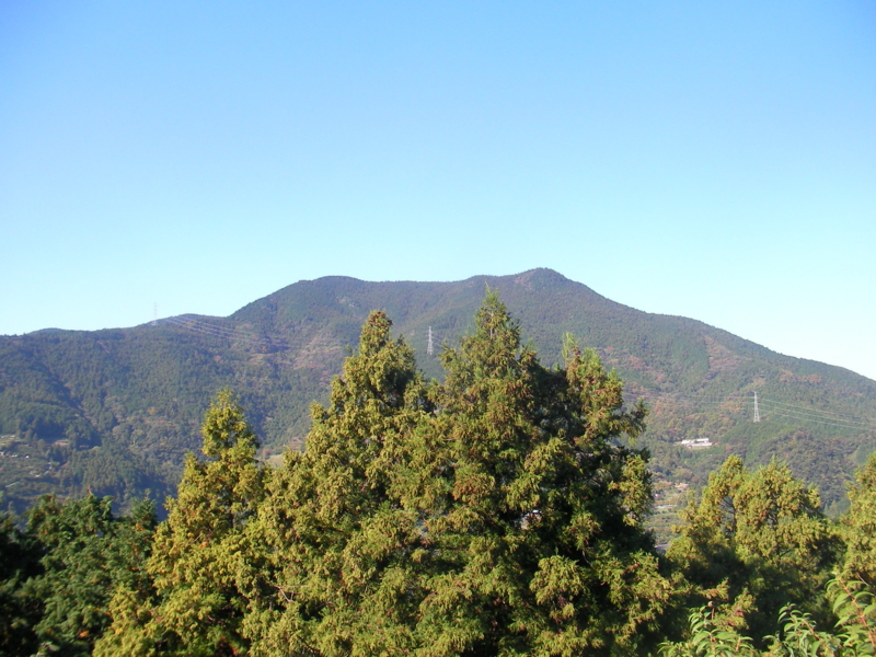 f:id:sattisatisatti:20111126231648j:image f:id:sattisatisatti:20111126231648j:image