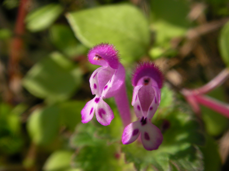 f:id:sattisatisatti:20111126233649j:image:w640 f:id:sattisatisatti:20111126233649j:image:w640