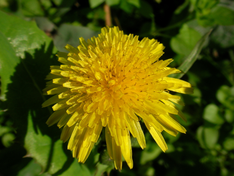 f:id:sattisatisatti:20111126233652j:image:w640 f:id:sattisatisatti:20111126233652j:image:w640