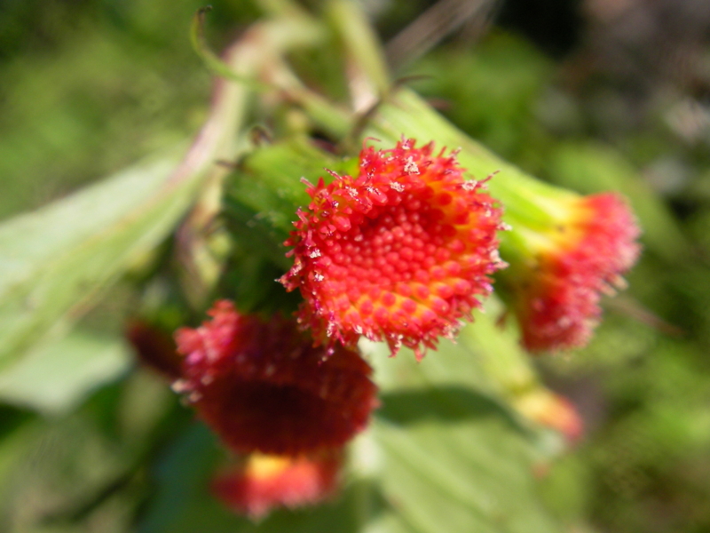 f:id:sattisatisatti:20111126233653j:image:w640 f:id:sattisatisatti:20111126233653j:image:w640