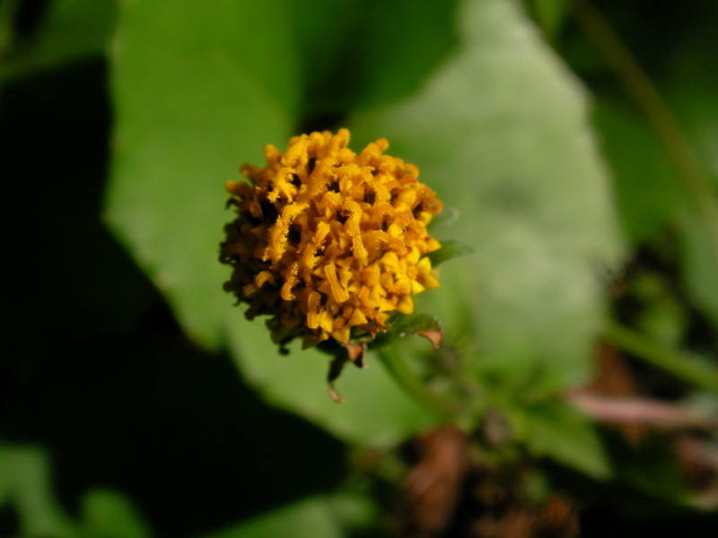 f:id:sattisatisatti:20111126233655j:image:w640 f:id:sattisatisatti:20111126233655j:image:w640