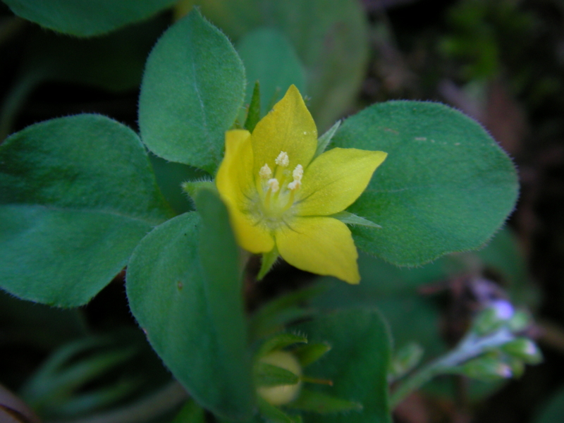 f:id:sattisatisatti:20111126233656j:image:w640 f:id:sattisatisatti:20111126233656j:image:w640