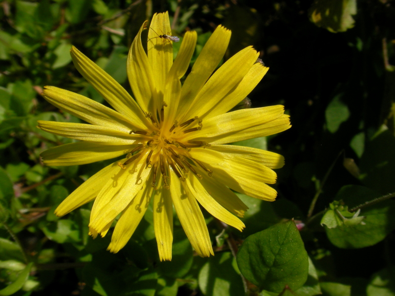 f:id:sattisatisatti:20111126233700j:image:w640 f:id:sattisatisatti:20111126233700j:image:w640