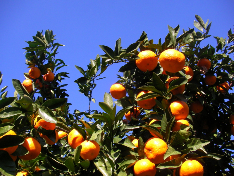 f:id:sattisatisatti:20111126233701j:image:w360 f:id:sattisatisatti:20111126233701j:image:w360