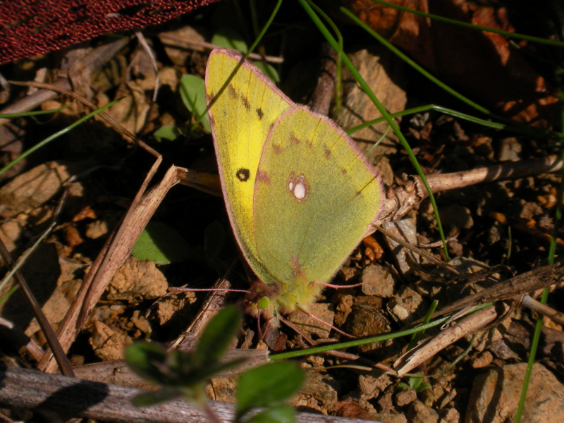 f:id:sattisatisatti:20111126233703j:image:w640 f:id:sattisatisatti:20111126233703j:image:w640