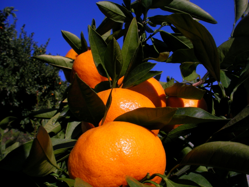 f:id:sattisatisatti:20111126233704j:image:w360 f:id:sattisatisatti:20111126233704j:image:w360