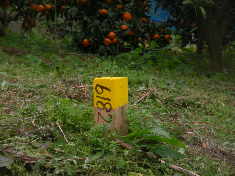 20111128211745