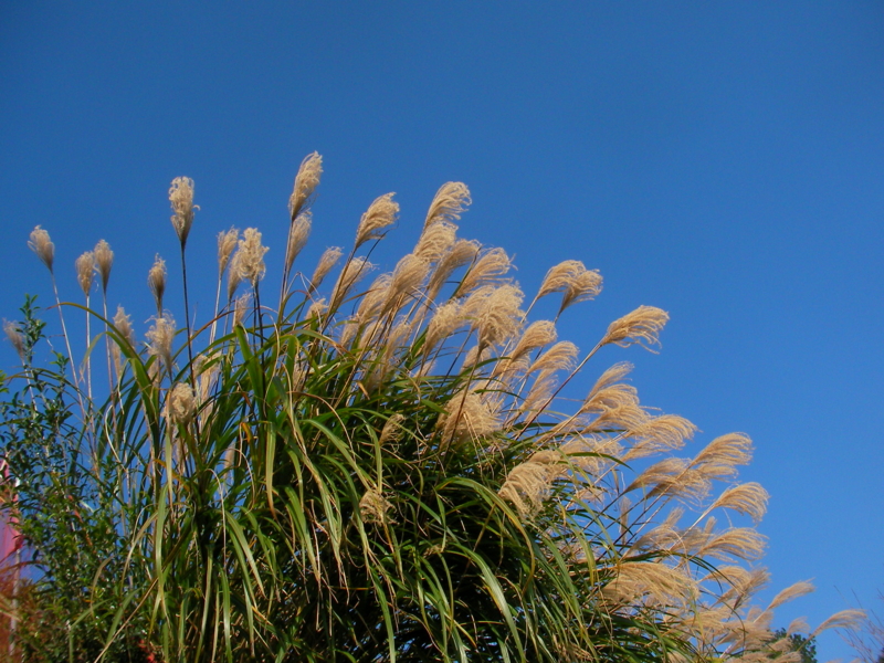 f:id:sattisatisatti:20111213223925j:image:w640 f:id:sattisatisatti:20111213223925j:image:w640