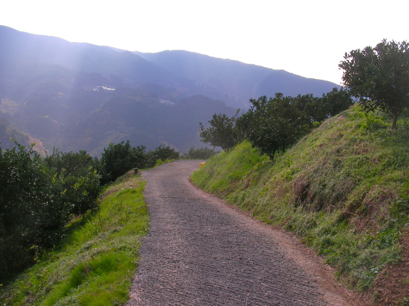 f:id:sattisatisatti:20111213223928j:image:w640 f:id:sattisatisatti:20111213223928j:image:w640