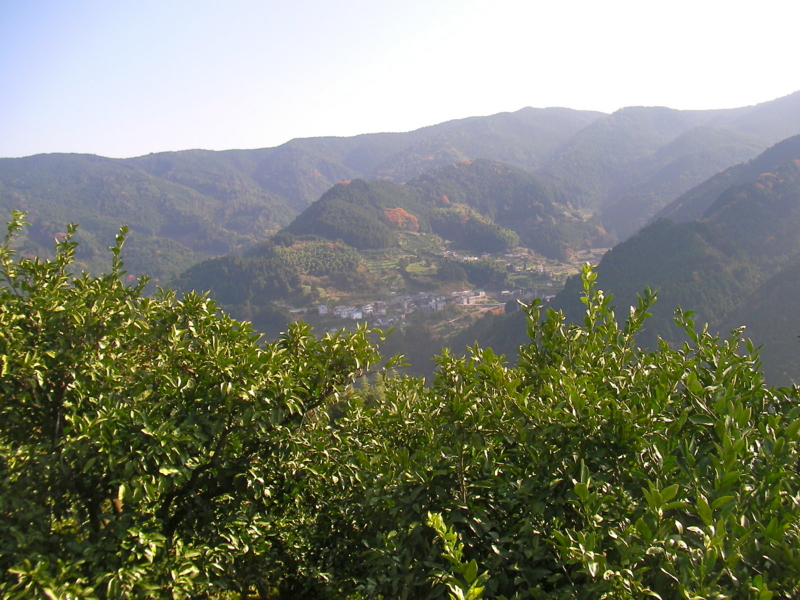 f:id:sattisatisatti:20111213223929j:image:w640 f:id:sattisatisatti:20111213223929j:image:w640