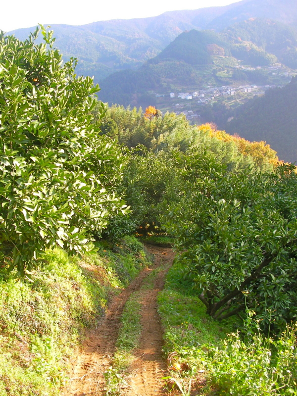 f:id:sattisatisatti:20111213223930j:image:w640 f:id:sattisatisatti:20111213223930j:image:w640