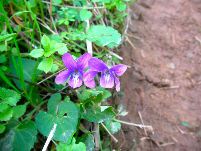 f:id:sattisatisatti:20111213223932j:image:w640 f:id:sattisatisatti:20111213223932j:image:w640
