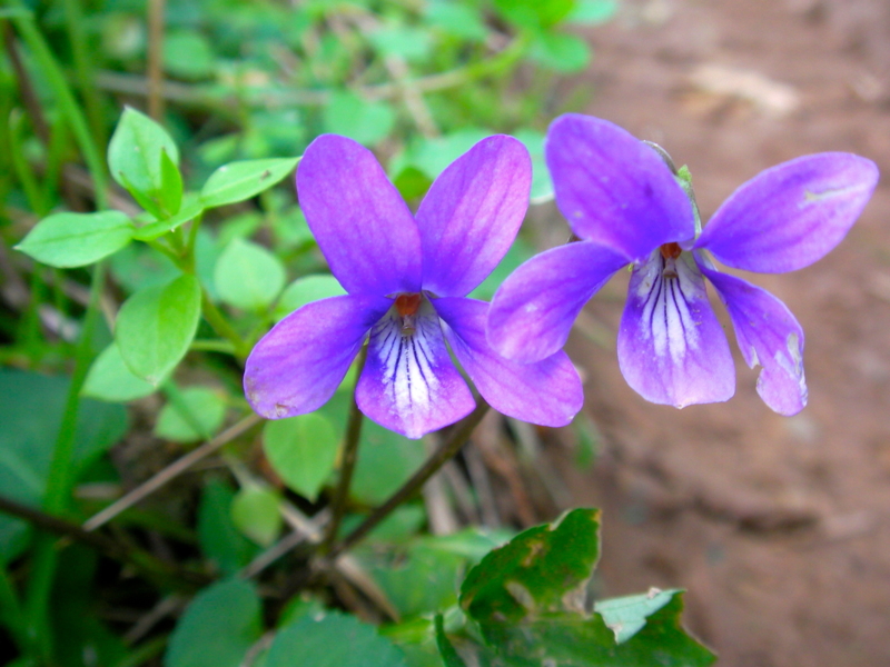 f:id:sattisatisatti:20111213223933j:image:w640 f:id:sattisatisatti:20111213223933j:image:w640